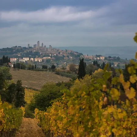Via Taddea Florenz